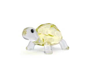 Idyllia Baby Tortoise