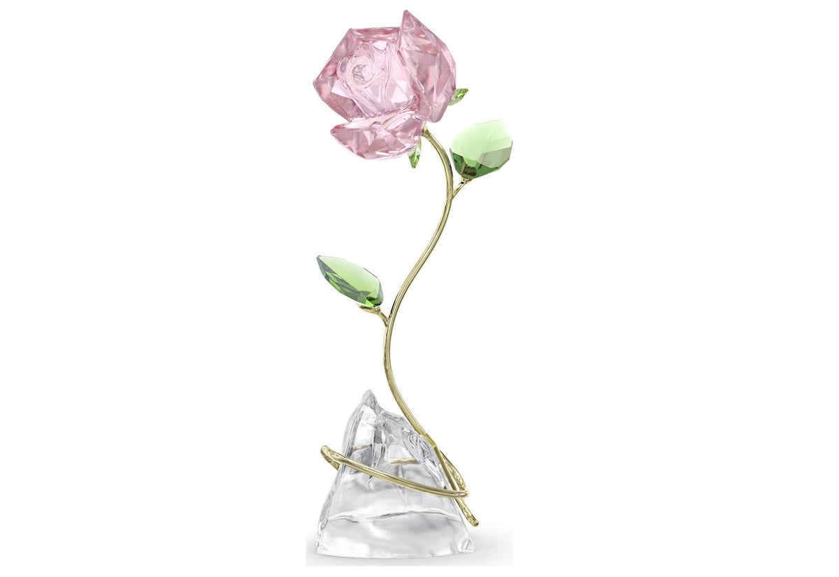 Florere Rose