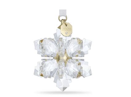 Annual Ornament 3D 2026