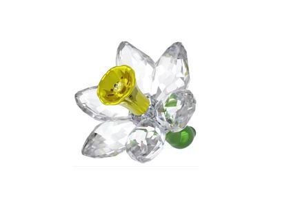 Florere Daffodil