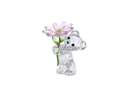 Kris Bear A Daisy for You