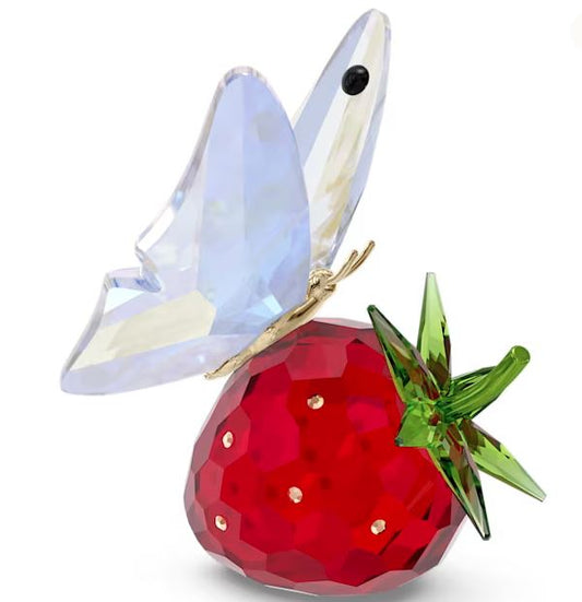Idyllia : Butterfly And Strawberry