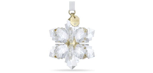 Annual Ornament 3D 2026