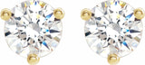 14K Yellow 6 mm Round Stuller Lab-Created Moissaniteu2122 Earrings