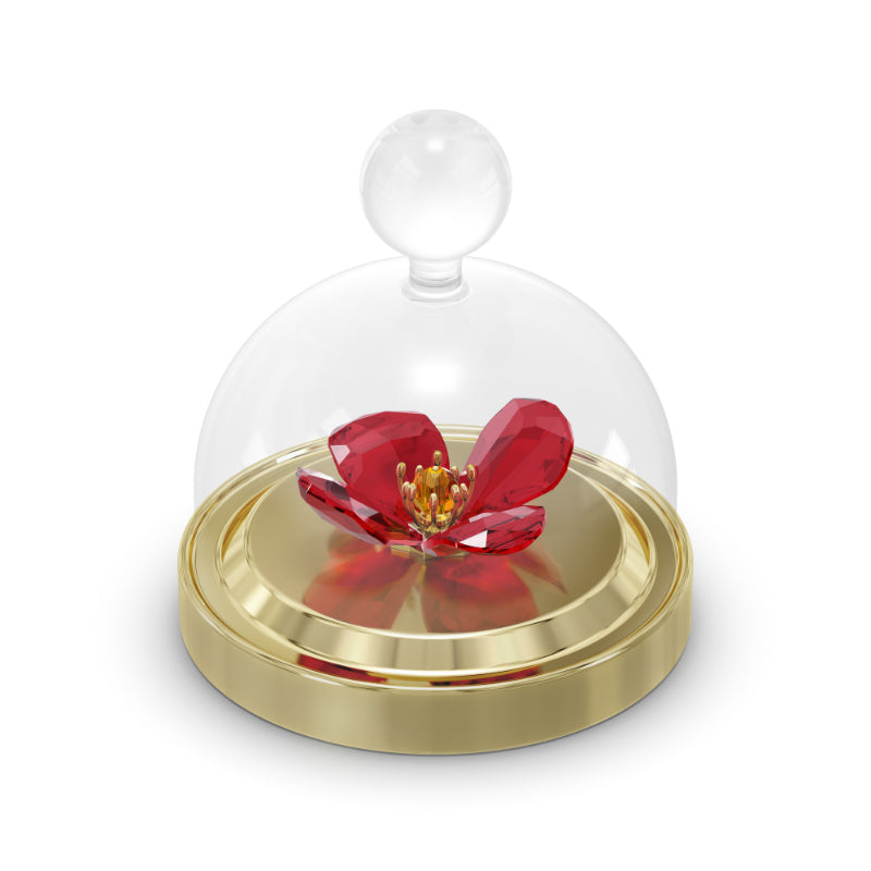 Swarovski Garden Tales Red Poppy Bell Jar, Small